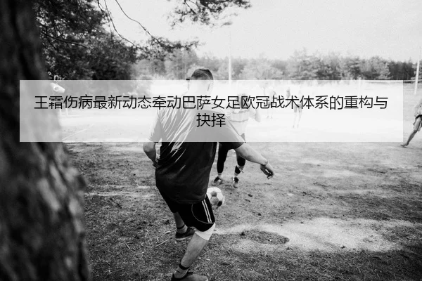 wang-shuang-shang-bing-zui-xin-dong-tai-qian-dong-ba-sa-nv-zu-ou-guan-zhan-shu-ti-xi-de-zhong-gou-yu-jue-ze-2-598.jpg